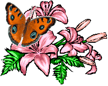 Цветок с бабочкой