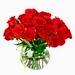 http://klandaic.com/gardener/potokadr/bouquet.jpg